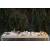FINGERFOOD miseczka Nest, trzcina cukrowa, 13,6x10,8x9,3cm op. 15 sztuk